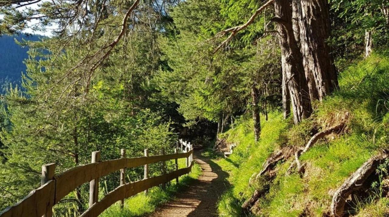Casa Gilda Val Di Fiemme - Dolomiti Διαμέρισμα Cavalese Εξωτερικό φωτογραφία